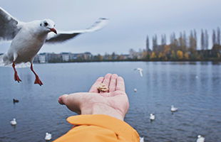 SG胜游(亚洲游)官方网站